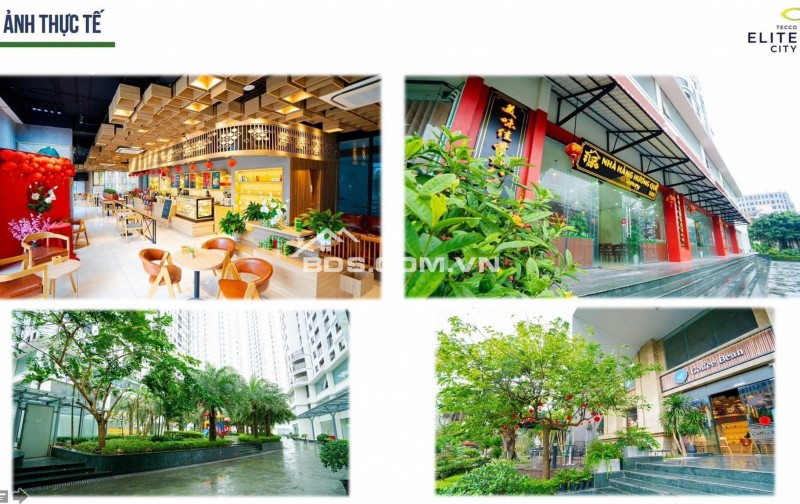 Chưa đến 1 tỷ sở hữu ngay căn hộ cao cấp 2PN, sẵn sổ với dòng tiền cho thuê hàng tháng 8.3tr