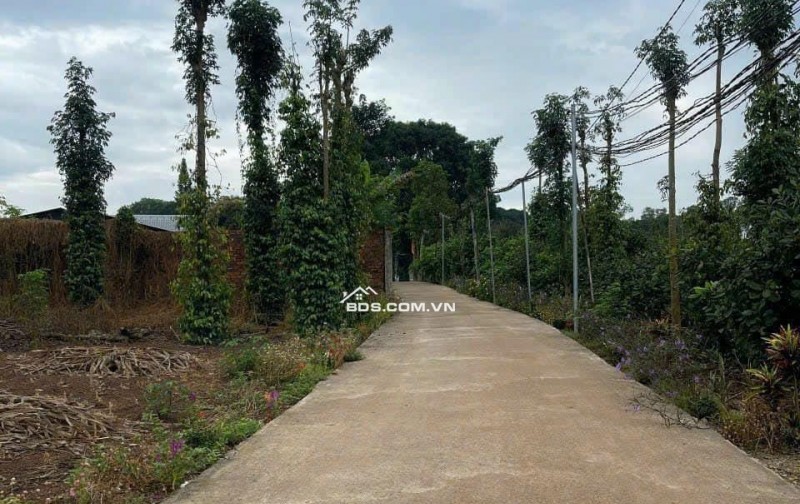 BÁN ĐẤT  GÓC 2 MT . XÃ BÀU CẠN . LONG THÀNH . ĐỒNG NAI 0938974428