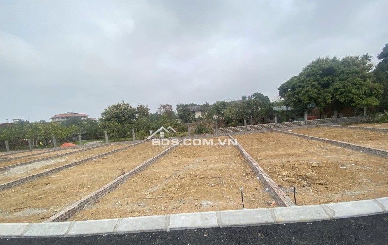 Đất nền Hòa Lạc, Quốc Oai – Vị trí Vàng gần Khu CNC và Tiềm năng đầu tư - LH: 033.696.3515