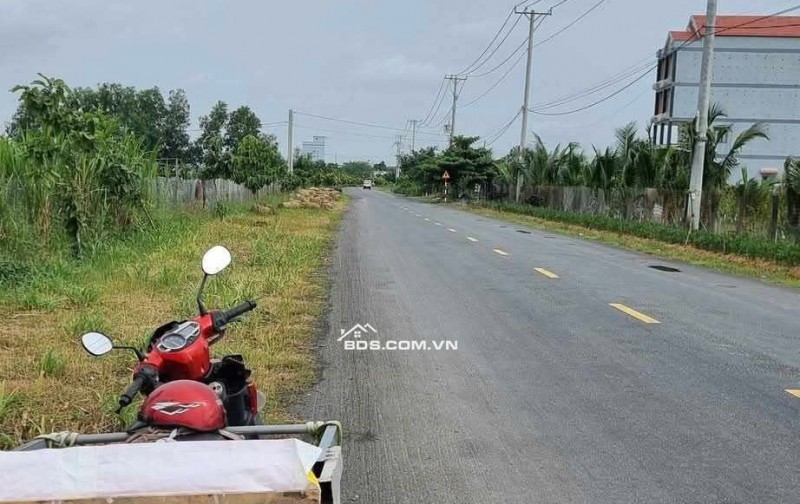 Bán đất Gò Công Tây Tiền Giang, Đất Trồng Câu Lâu Năm, pháp lý chuẩn, giá từ 2ty100 Lh:0975629934.