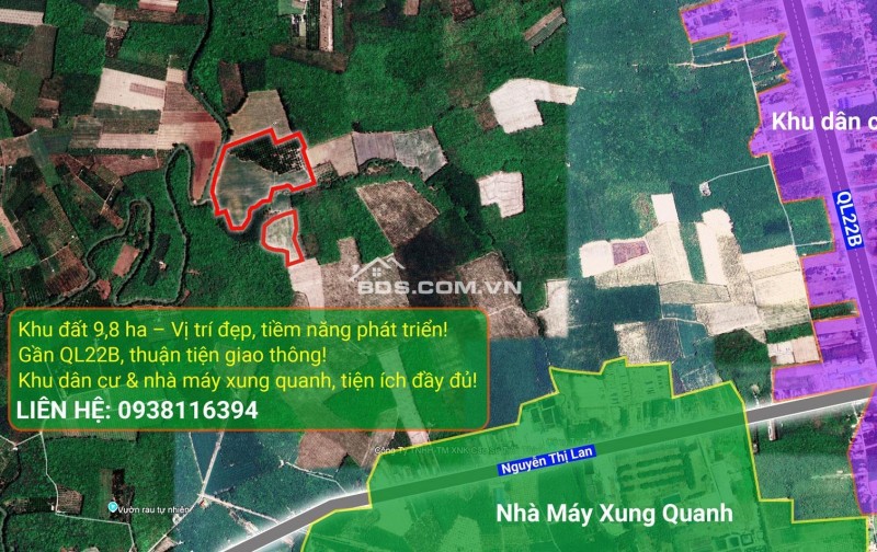 BÁN ĐẤT 9,8HA TÂY NINH – GIÁ CHỈ 31 TỶ, CƠ HỘI ĐẦU TƯ SINH LỜI!