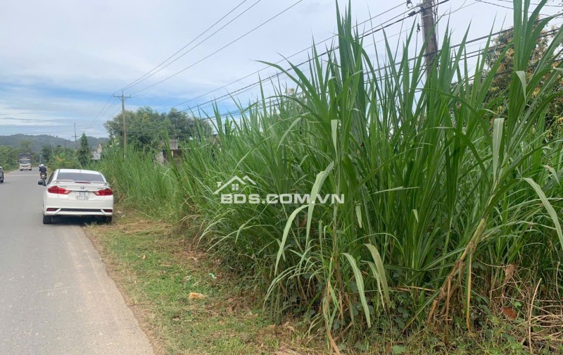 SIÊU PHẨM ĐẤT MẶT TIỀN QUỐC LỘ – CƠ HỘI TƯƠNG LAI GẤP 10 TÀI SẢN