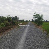 Bán 2.7 mẫu đât có thổ lúa sổ hiện đường ô tô