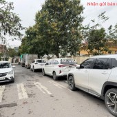 Bán đất đấu giá mặt tiền kinh doanh, vị trí đắc địa tại Chi Đông, Mê Linh, HN.