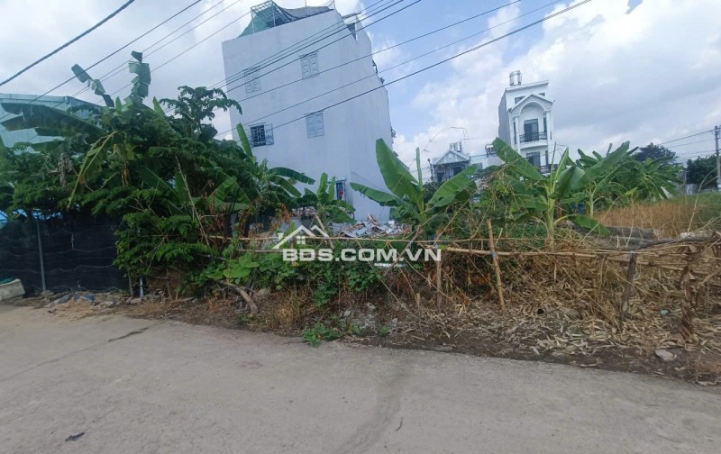 Bán đất Quận 12 nhỉnh 33tr/m2 HIẾM 271m2 full thổ, ngang 8m nở, 2 mặt hẻm ôtô trước sau 8m