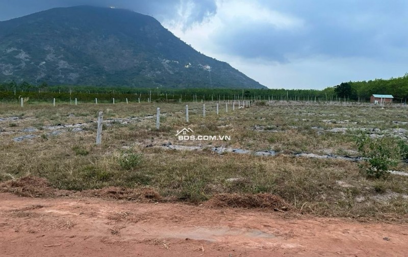 Gần Núi Bà Đen, Xã Phan, Huyện Dương Minh Châu, Tỉnh Tây Ninh