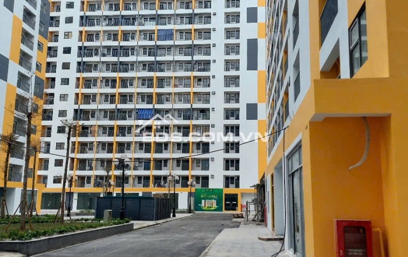 NOXH Evergreen Hải Phòng 26m2 và 54m2. Nhận Booking CT3