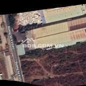 BÁN GẤP 10.000M2 ĐẤT NÔNG NGHIỆP - HÒA PHÚ, THỦ DẦU MỘT, BÌNH DƯƠNG - GIÁ CHỈ 90 TỶ - SỔ HỒNG