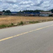 CHUYỂN VỀ QUÊ Ở CẦN BÁN 1250M2 ĐẤT SHR NGAY KCN BÌNH DƯƠNG, DÂN ĐÔNG. GIÁ 480TR