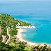 Biệt thự đẳng cấp thượng Lưu - Bán đảo Sơn Trà .