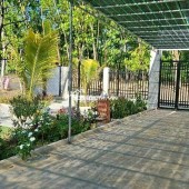 TÔI CHỦ BÁN 4s (20x40=819m2) góc 2MT, view sông sài gòn , trung tâm Thị Trấn,sát chợ GIÁ 550tr/sổ