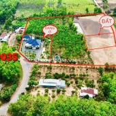 BÁN 4 LÔ 20X36=720M2 SHR, THỔ CƯ, NGAY THỊ TRẤN, SÁT CHỢ, GIÁ 550TR