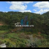 BÁN ĐẤT VÀNG ĐÀ LẠT - VỊ TRÍ ĐẮC ĐỊA - ĐẤT HOÀNG HOA THÁM - PHƯỜNG 10 - ĐÀ LẠT