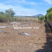 BÁN 181.2M2 ĐẤT TỔ 32 THỊ TRẤN LIÊN NGHĨA ĐỨC TRỌNG LÂM ĐỒNG