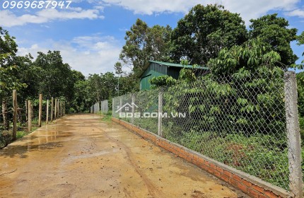 ĐẤT NÔNG NGHIỆP 1.7 HA, EA KAO - BUÔN MA THUỘT - ĐĂK LĂK - GIÁ HẤP DẪN 450 TRIỆU/SÀO