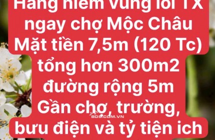 ĐẤT VÀNG NGHỈ DƯỠNG RỘNG RẺ MỘC CHÂU