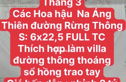 LÔ ĐẤT KHỦNG TẠI MỘC CHÂU