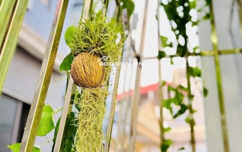 Nhà Đẹp Ngõ Thông Rộng Giáp Nhị, Hoàng Mai 35m, 5 tầng, mt 4m, giá 7.95 tỷ.