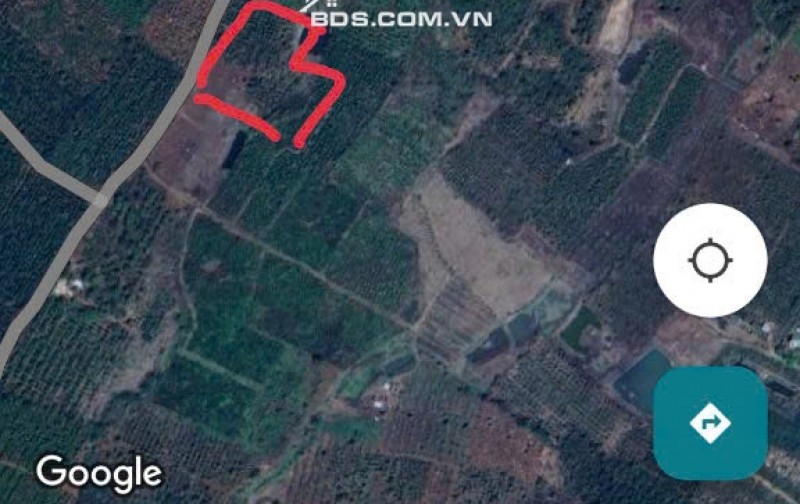 Chính Chủ Bán 3620,1m2 Đất ONT Tại Xã Ea M