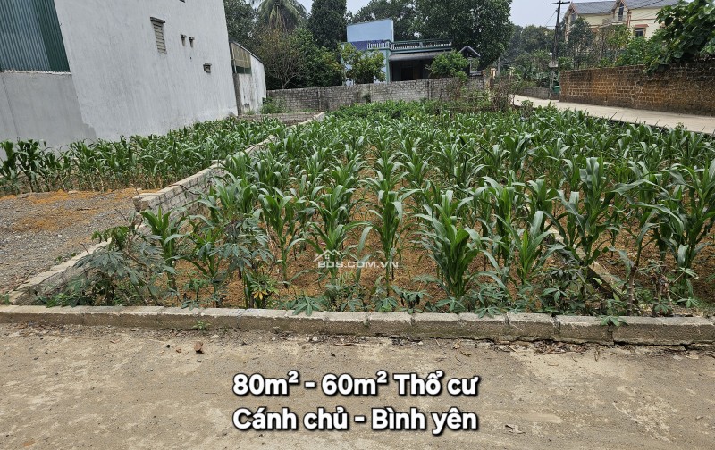Bán 80m Tại Bình Yên Hòa Lạc Gần Ngay TL 419