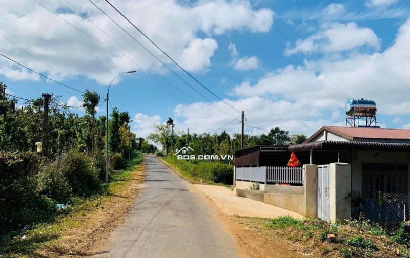 Chính Chủ Bán 3620,1m2 Đất ONT Tại Xã Ea M