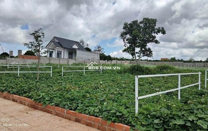BÁN 2 LÔ 10X40=400M2 SỔ RIÊNG THỔ CƯ MẶT TIỀN QUỐC LỘ VÀO GIÁ 195TR