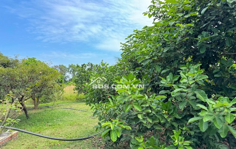 Ra nhanh lô đất view Hồ Trị An - giá ưu đãi có thương lượng