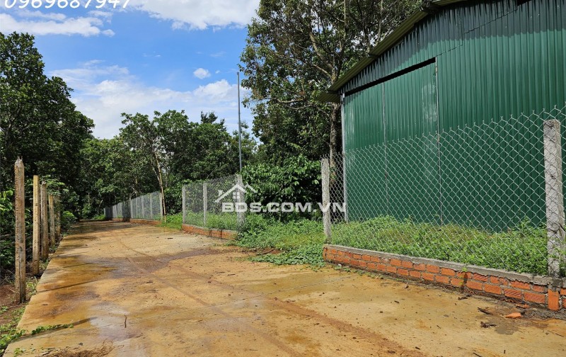 Bán 17000m² đất nông nghiệp Đắk Lắk, sổ đỏ, 7.6 tỷ - 0969687947