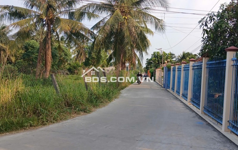 NGỘP, cần bán nhanh Nhà cấp 4 trong khu đất rộng 2.260m2. ngay sát QL1A. Thạnh Phú, Châu Thành, TG