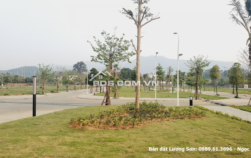 Bán lô đất đấu giá Lương Sơn gần khu phố chợ Lương Sơn