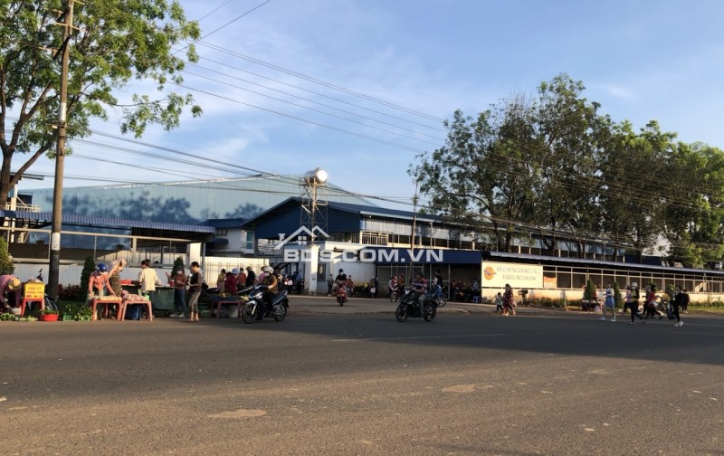 BÁN 500M2 ĐẤT TC SHR SÁT CHỢ, TRƯỜNG DÂN ĐÔNG. GIÁ 480TR