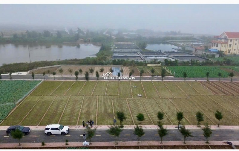 Đất nền ven biển Quất Lâm Nam Định