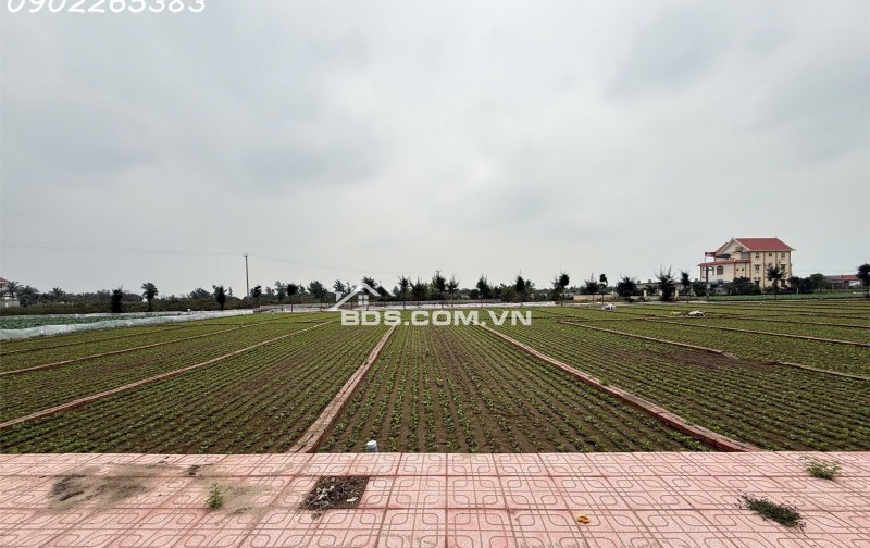 Siêu phẩm lô đất siêu hot ngay trục chính quy hoạch đường 20m Giao Phong