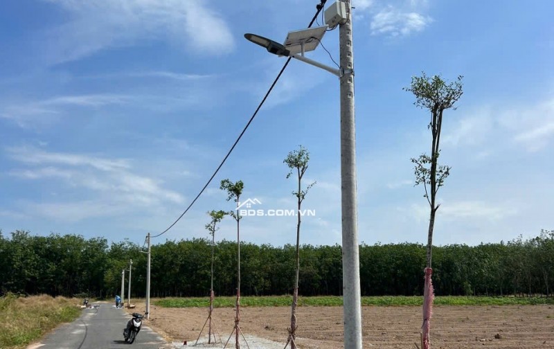 CHỦ NGỢP THỞ OXI CẦN BÁN LÔ DẤT BÌNH DƯƠNG CHỈ 389TR