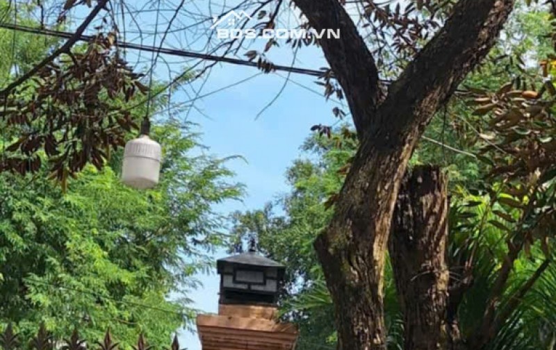 CHÍNH CHỦ CẮT LỖ 1TY5 CĂN NHÀ 1 TRỆT 2 LẦU NGAY ĐƯỜNG CHU MẠNH TRINH-BÌNH THỌ-THỦ ĐỨC