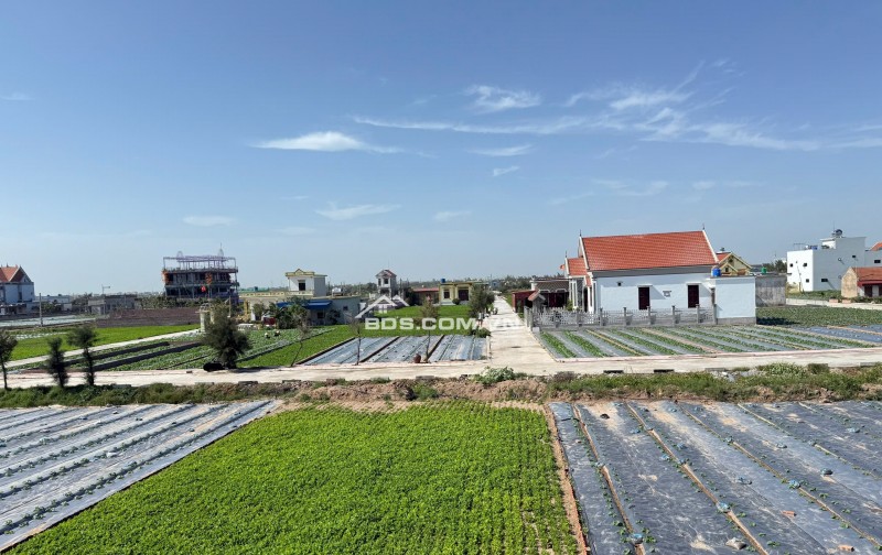 Bán 85m2 sát biển giao phong quất lâm ngay cạnh Flamingo chỉ 1.x tỷ