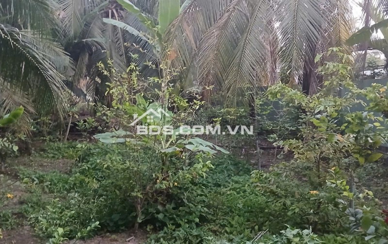 Căn BIỆT THỰ 3 TẦNG.  Đ. Trần Văn Hiển, Trung An, TP Mỹ Tho. Hẻm Ô tô lưu thông 2 chiều.
