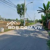 CHÍNH CHỦ BÁN GẤP ĐẤT BÀU BÀNG 250m² – GẦN KHU CÔNG NGHIỆP – GIÁ 460 TRIỆU