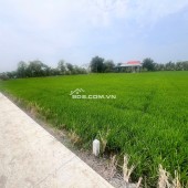 BÁN NHANH LÔ F0 VỪA LÊN THỔ CHƯA QUA ĐẦU TƯ GIÁ 470 TRIỆU CC NGAY