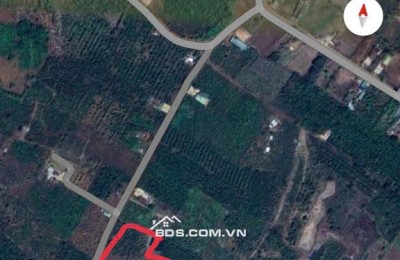 Chính Chủ Bán 3620,1m2 Đất ONT Tại Xã Ea M