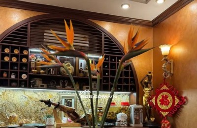 Nhà Đẹp Mặt Phố Kinh Doanh Mai Anh Tuấn, Đống Đa 44/55m, 6 tầng, mt 3.5m, giá 31 tỷ