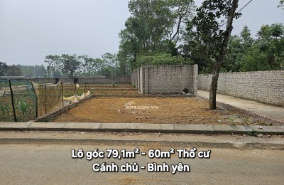 Cần Bán Lô Góc 79m² Ngay Mặt Đường To - Bình Yên Hòa Lạc