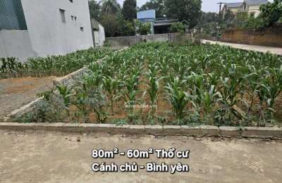 Bán 80m Tại Bình Yên Hòa Lạc Gần Ngay TL 419