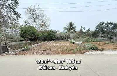 Cần Bán 120m2 Nằm Ngay Mặt Đường Trục Chính Đồi Sen  Sang Tân Xã