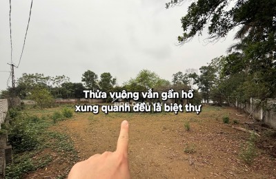 Chính Chủ Cần Bán 3403,7m2 Tại Đồng Trạng Cổ Đông Sơn Tây