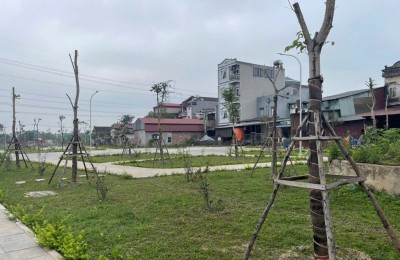 bán lô đất đẹp ở thiết úng vân hà đông anh hà nội chính chủ