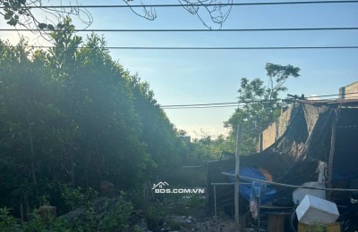 Bán đất gần biển đường Nguyễn Du xã Tân Phước Thị xã Lagi cách biển 1 km