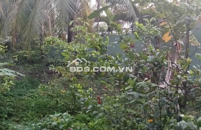 Bán 1 công đất MẶT TIỀN đường DT 870  Cầu Rạch Miễu 2.