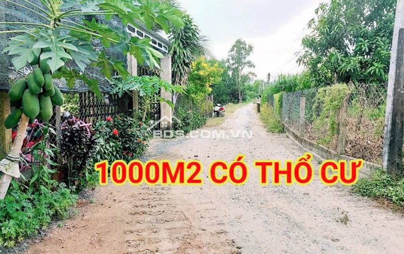 280 Triệu sang Tên 1000m2 có Thổ Cư, Gần DT 818, mỗi tháng trả thêm 3 triệu