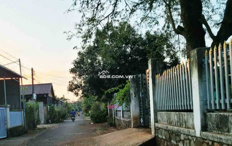 Lô Đất Vị Trí Vàng Gần KCN Hòa Phú- TP. BUÔN MA THUỘT - ĐĂK LĂK - Chỉ 775 Triệu!**